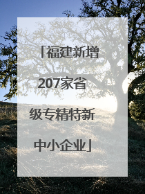 福建新增207家省级专精特新中小企业