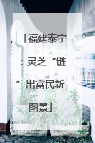 福建泰宁：灵芝“链”出富民新图景