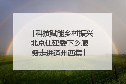 科技赋能乡村振兴 北京住建委下乡服务走进通州西集