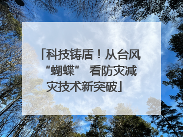 科技铸盾！从台风“蝴蝶” 看防灾减灾技术新突破