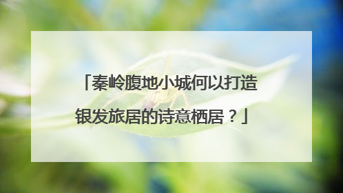 秦岭腹地小城何以打造银发旅居的诗意栖居？