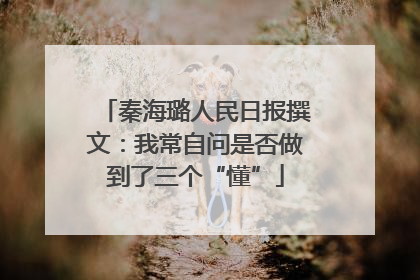 秦海璐人民日报撰文：我常自问是否做到了三个“懂”