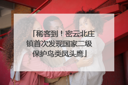 稀客到！密云北庄镇首次发现国家二级保护鸟类凤头鹰