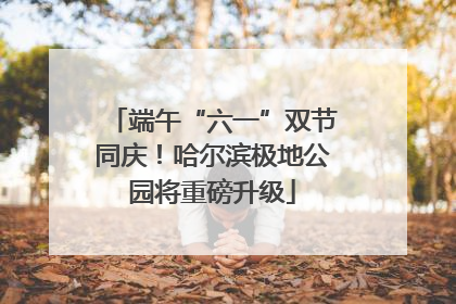 端午“六一”双节同庆！哈尔滨极地公园将重磅升级