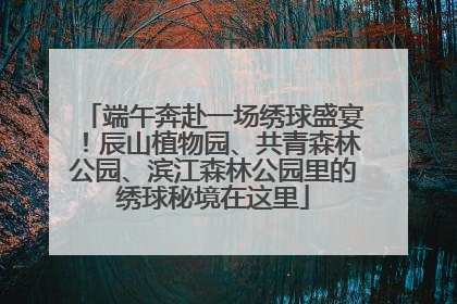 端午奔赴一场绣球盛宴！辰山植物园、共青森林公园、滨江森林公园里的绣球秘境在这里