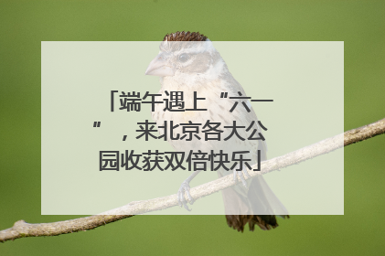 端午遇上“六一”，来北京各大公园收获双倍快乐