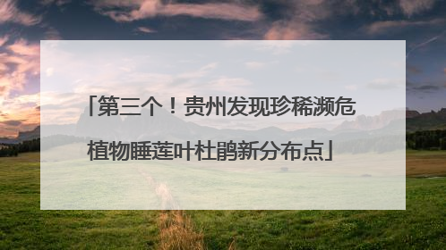 第三个！贵州发现珍稀濒危植物睡莲叶杜鹃新分布点