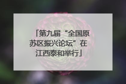 第九届“全国原苏区振兴论坛”在江西泰和举行