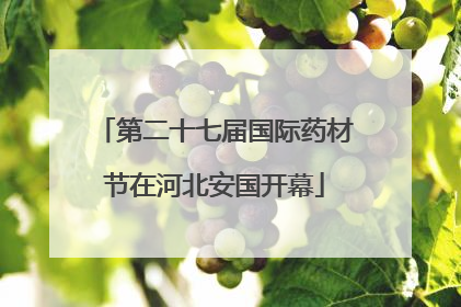第二十七届国际药材节在河北安国开幕