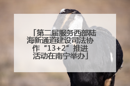 第二届服务西部陆海新通道建设司法协作“13+2”推进活动在南宁举办