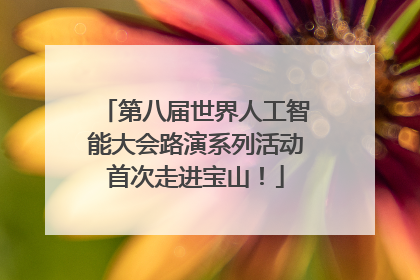 第八届世界人工智能大会路演系列活动首次走进宝山！