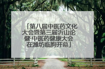 第八届中医药文化大会暨第三届沂山论健·中医药健康大会在潍坊临朐开幕