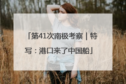 第41次南极考察｜特写：港口来了中国船