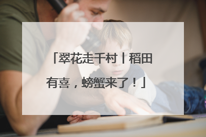 翠花走千村丨稻田有喜，螃蟹来了！