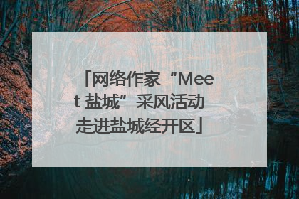 网络作家“Meet 盐城”采风活动走进盐城经开区