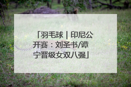 羽毛球｜印尼公开赛：刘圣书/谭宁晋级女双八强