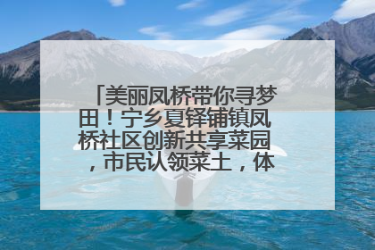 美丽凤桥带你寻梦田！宁乡夏铎铺镇凤桥社区创新共享菜园，市民认领菜土，体验耕种收获乐趣