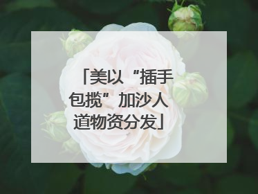 美以“插手包揽”加沙人道物资分发