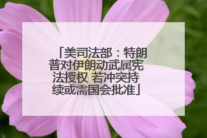 美司法部：特朗普对伊朗动武属宪法授权 若冲突持续或需国会批准