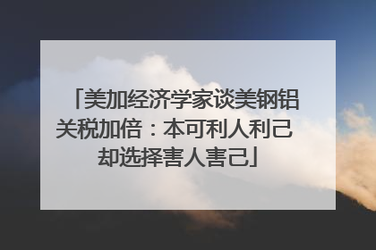 美加经济学家谈美钢铝关税加倍：本可利人利己 却选择害人害己