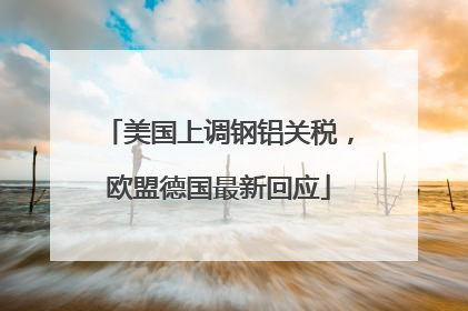 美国上调钢铝关税，欧盟德国最新回应