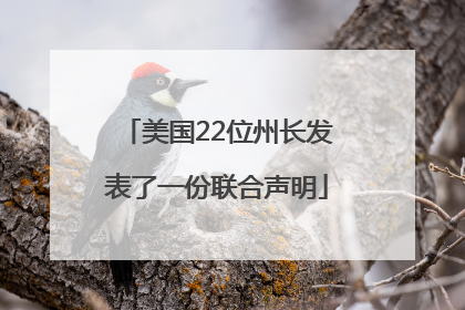 美国22位州长发表了一份联合声明