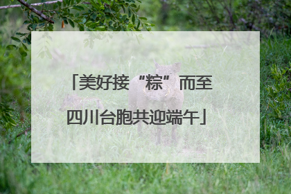 美好接“粽”而至 四川台胞共迎端午