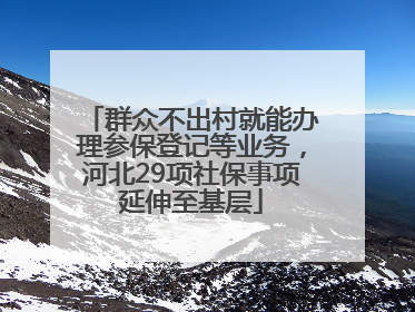 群众不出村就能办理参保登记等业务，河北29项社保事项延伸至基层
