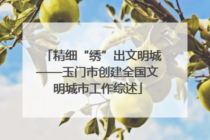 精细“绣”出文明城——玉门市创建全国文明城市工作综述