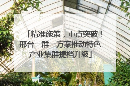 精准施策，重点突破！邢台一群一方案推动特色产业集群提档升级