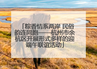 粽香情系两岸 民俗韵连同胞——杭州市余杭区开展形式多样的迎端午联谊活动