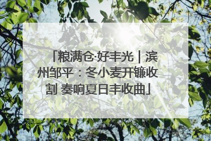 粮满仓·好丰光｜滨州邹平：冬小麦开镰收割 奏响夏日丰收曲