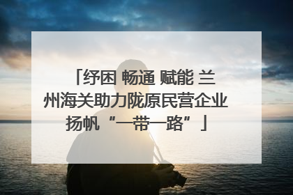 纾困 畅通 赋能 兰州海关助力陇原民营企业扬帆“一带一路”