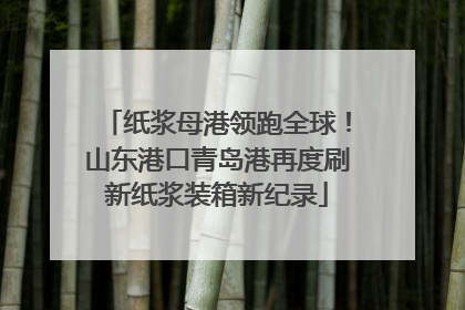 纸浆母港领跑全球！山东港口青岛港再度刷新纸浆装箱新纪录