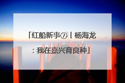 红船新事⑦丨杨海龙：我在嘉兴育良种