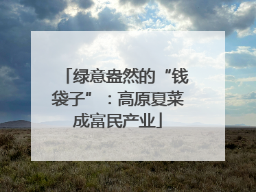 绿意盎然的“钱袋子”：高原夏菜成富民产业