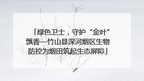 绿色卫士，守护“金叶”飘香—竹山县深河烟区生物防控为烟田筑起生态屏障
