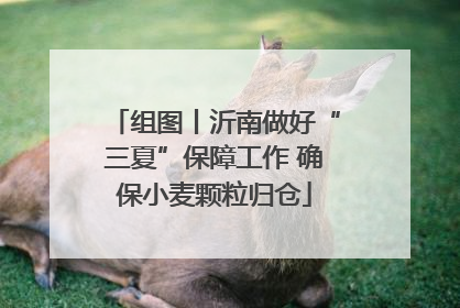组图丨沂南做好“三夏”保障工作 确保小麦颗粒归仓