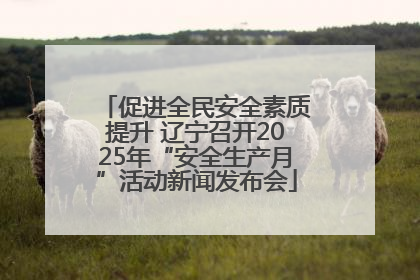 促进全民安全素质提升 辽宁召开2025年“安全生产月”活动新闻发布会