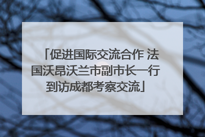 促进国际交流合作 法国沃昂沃兰市副市长一行到访成都考察交流