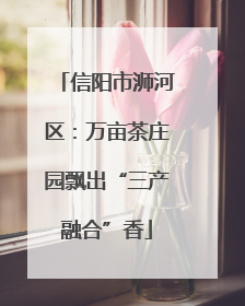 信阳市浉河区：万亩茶庄园飘出“三产融合”香