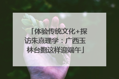 体验传统文化+探访朱熹理学：广西玉林台胞这样迎端午