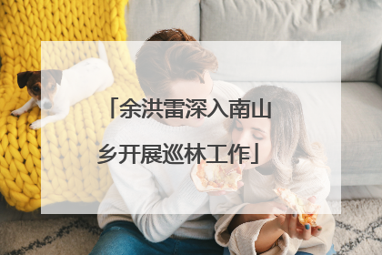 余洪雷深入南山乡开展巡林工作