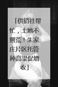 供销社帮忙，土地不撂荒！朱家庄片区托管种高粱促增收