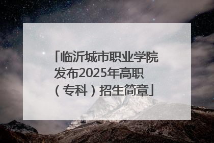 临沂城市职业学院发布2025年高职（专科）招生简章