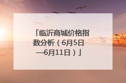 临沂商城价格指数分析（6月5日—6月11日）