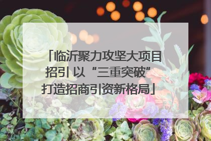 临沂聚力攻坚大项目招引 以“三重突破”打造招商引资新格局
