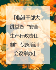 临港干部大讲堂暨“安全生产行政责任制”专题培训会议举办