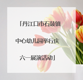 丹江口市石鼓镇中心幼儿园举行庆六一展演活动