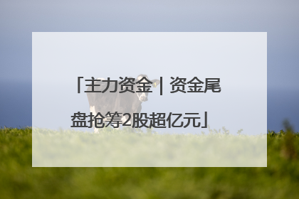 主力资金｜资金尾盘抢筹2股超亿元